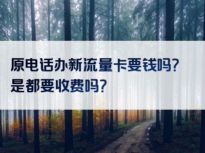 原电话办新流量卡要钱吗？是都要收费吗？
