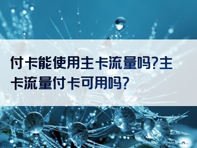 付卡能使用主卡流量吗？主卡流量付卡可用吗？