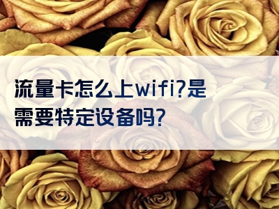 流量卡怎么上wifi？是需要特定设备吗？