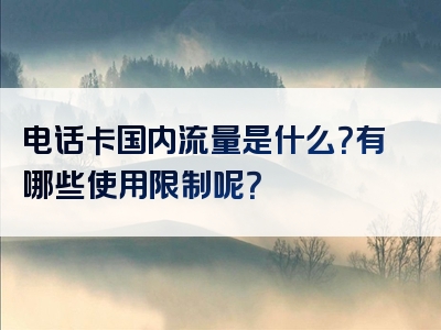 电话卡国内流量是什么？有哪些使用限制呢？