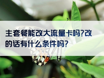 主套餐能改大流量卡吗？改的话有什么条件吗？