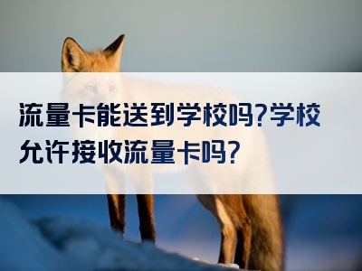 流量卡能送到学校吗？学校允许接收流量卡吗？
