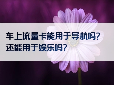 车上流量卡能用于导航吗？还能用于娱乐吗？