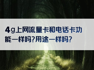 4g上网流量卡和电话卡功能一样吗？用途一样吗？