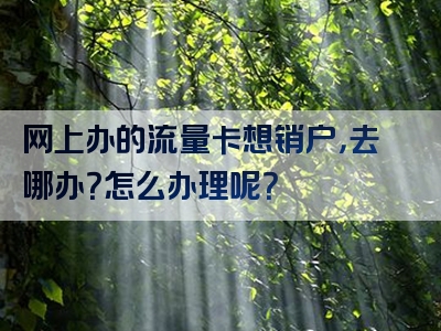 网上办的流量卡想销户，去哪办？怎么办理呢？