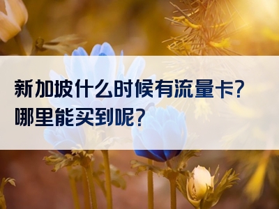 新加坡什么时候有流量卡？哪里能买到呢？
