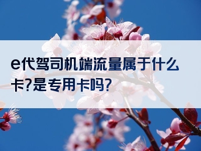 e代驾司机端流量属于什么卡？是专用卡吗？