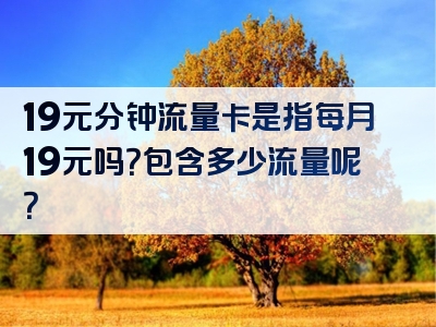 19元分钟流量卡是指每月19元吗？包含多少流量呢？