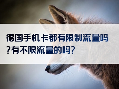 德国手机卡都有限制流量吗？有不限流量的吗？