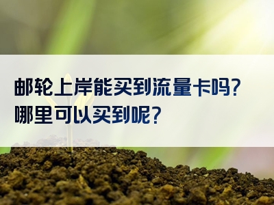 邮轮上岸能买到流量卡吗？哪里可以买到呢？