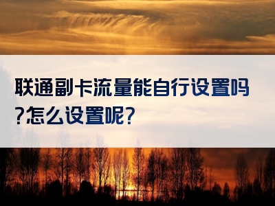 联通副卡流量能自行设置吗？怎么设置呢？