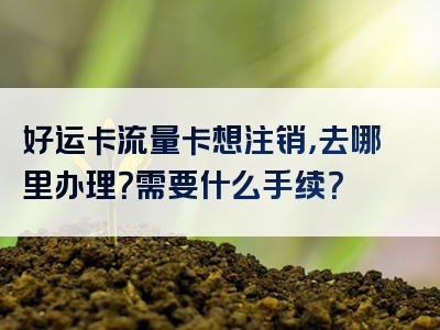 好运卡流量卡想注销，去哪里办理？需要什么手续？