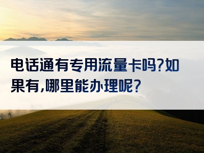 电话通有专用流量卡吗？如果有，哪里能办理呢？