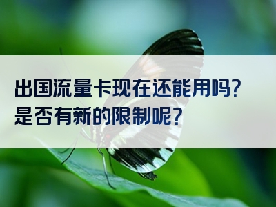 出国流量卡现在还能用吗？是否有新的限制呢？