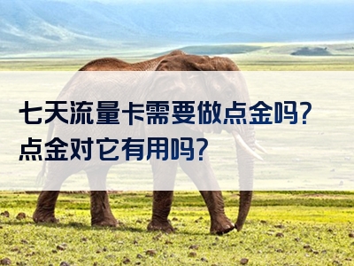 七天流量卡需要做点金吗？点金对它有用吗？