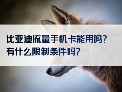 比亚迪流量手机卡能用吗？有什么限制条件吗？