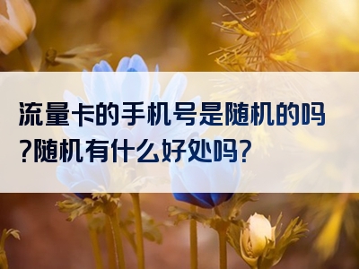 流量卡的手机号是随机的吗？随机有什么好处吗？