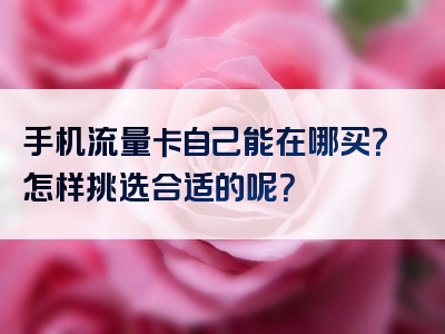 手机流量卡自己能在哪买？怎样挑选合适的呢？