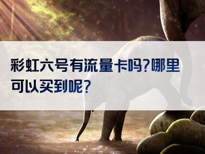 彩虹六号有流量卡吗？哪里可以买到呢？