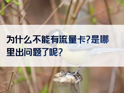 为什么不能有流量卡？是哪里出问题了呢？