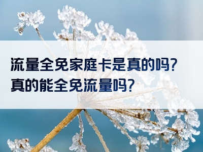 流量全免家庭卡是真的吗？真的能全免流量吗？