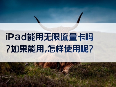 iPad能用无限流量卡吗？如果能用，怎样使用呢？