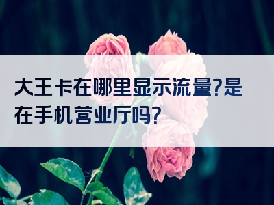 大王卡在哪里显示流量？是在手机营业厅吗？