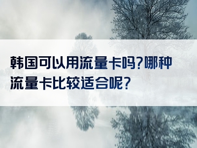 韩国可以用流量卡吗？哪种流量卡比较适合呢？