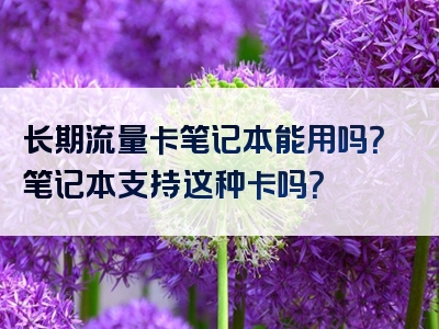 长期流量卡笔记本能用吗？笔记本支持这种卡吗？