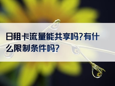 日租卡流量能共享吗？有什么限制条件吗？