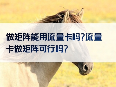 做矩阵能用流量卡吗？流量卡做矩阵可行吗？