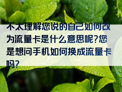 不太理解您说的自己如何改为流量卡是什么意思呢？您是想问手机如何换成流量卡吗？