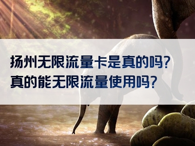 扬州无限流量卡是真的吗？真的能无限流量使用吗？