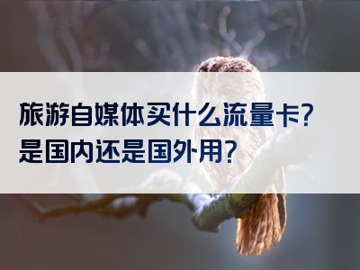 旅游自媒体买什么流量卡？是国内还是国外用？