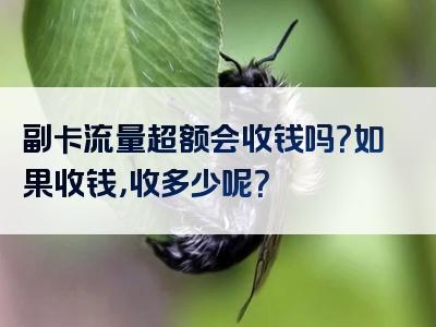 副卡流量超额会收钱吗？如果收钱，收多少呢？