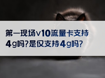 第一现场v10流量卡支持4g吗？是仅支持4g吗？