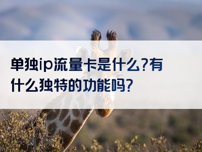 单独ip流量卡是什么？有什么独特的功能吗？
