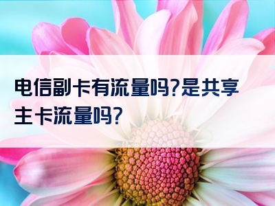 电信副卡有流量吗？是共享主卡流量吗？