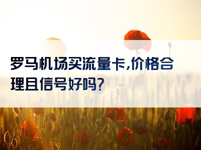 罗马机场买流量卡，价格合理且信号好吗？