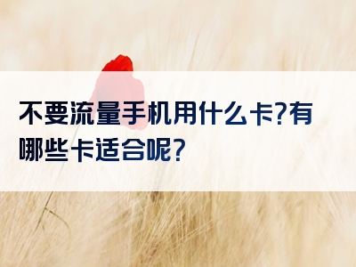 不要流量手机用什么卡？有哪些卡适合呢？