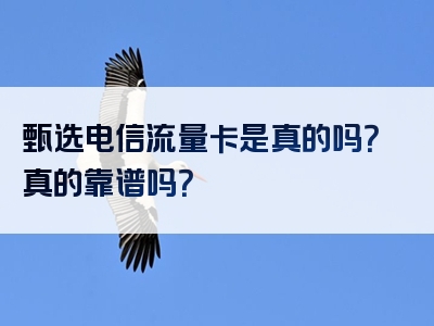 甄选电信流量卡是真的吗？真的靠谱吗？