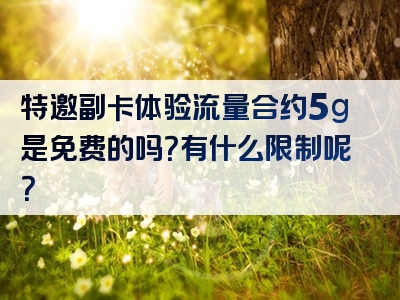 特邀副卡体验流量合约5g是免费的吗？有什么限制呢？