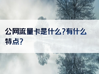 公网流量卡是什么？有什么特点？