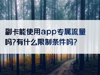 副卡能使用app专属流量吗？有什么限制条件吗？