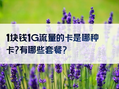1块钱1G流量的卡是哪种卡？有哪些套餐？