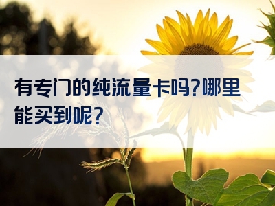 有专门的纯流量卡吗？哪里能买到呢？
