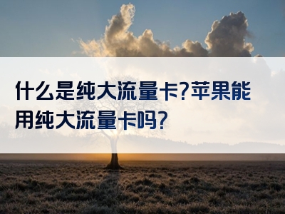 什么是纯大流量卡？苹果能用纯大流量卡吗？