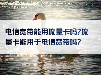 电信宽带能用流量卡吗？流量卡能用于电信宽带吗？