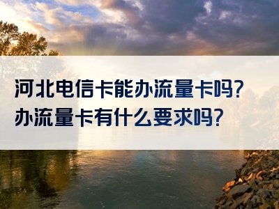 河北电信卡能办流量卡吗？办流量卡有什么要求吗？