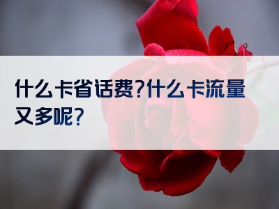 什么卡省话费？什么卡流量又多呢？